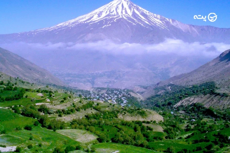 شهر رینه