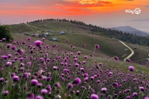 دشت سلانسر | بهشت پنهان گیلان با منظره‌ای رؤیایی در میان ابرها