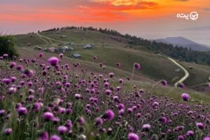 دشت سلانسر | بهشت پنهان گیلان با منظره‌ای رؤیایی در میان ابرها