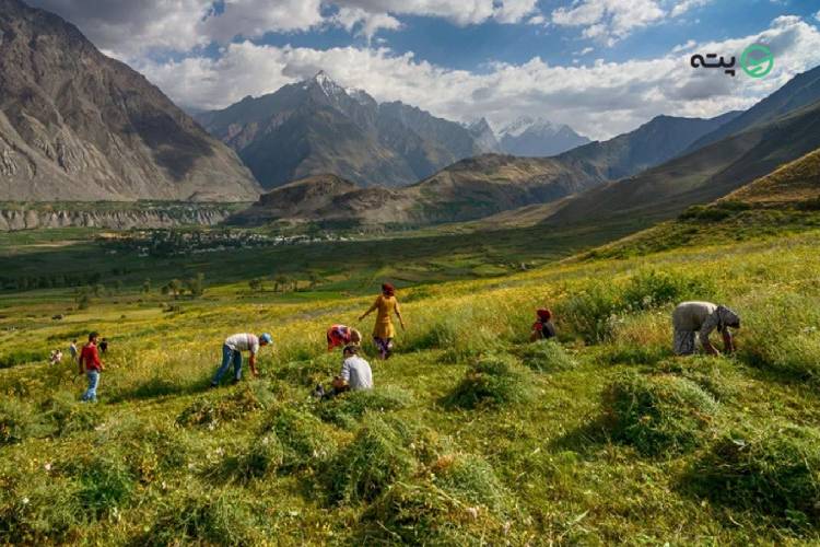 سفر زمینی به تاجیکستان