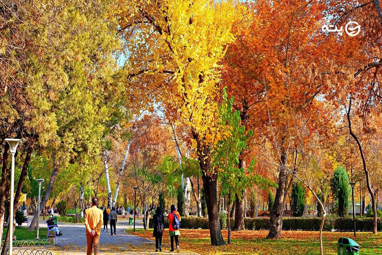 پاییز امسال به این جنگلها سفر کنید! لیست زیباترین جنگلهای پاییزی کشور