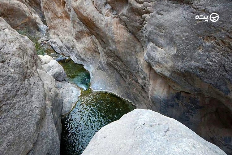 منطقه دلفارد