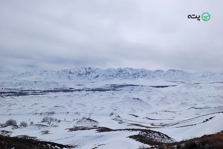 منطقه ساردوئیه