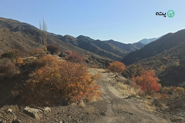 رشتهکوه جبال بارز
