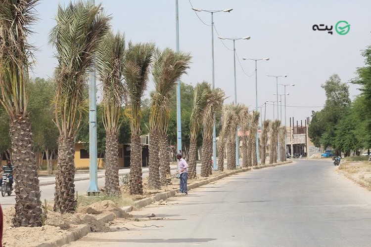 راهنمای سفر به جیرفت