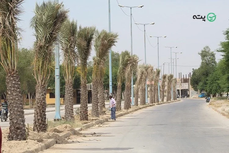 راهنمای سفر به جیرفت