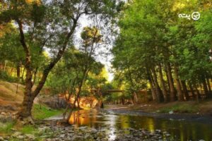 وکیل آباد مشهد | همه چیز درباره خوش آب و هوا ترین باغ مشهد