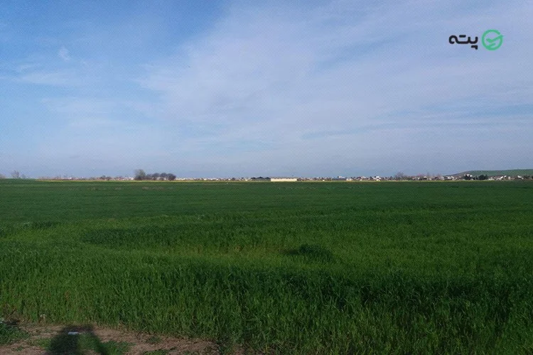 روستای زرگر
