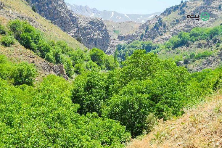 روستای ایگل