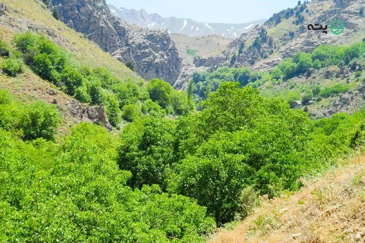 روستای ایگل