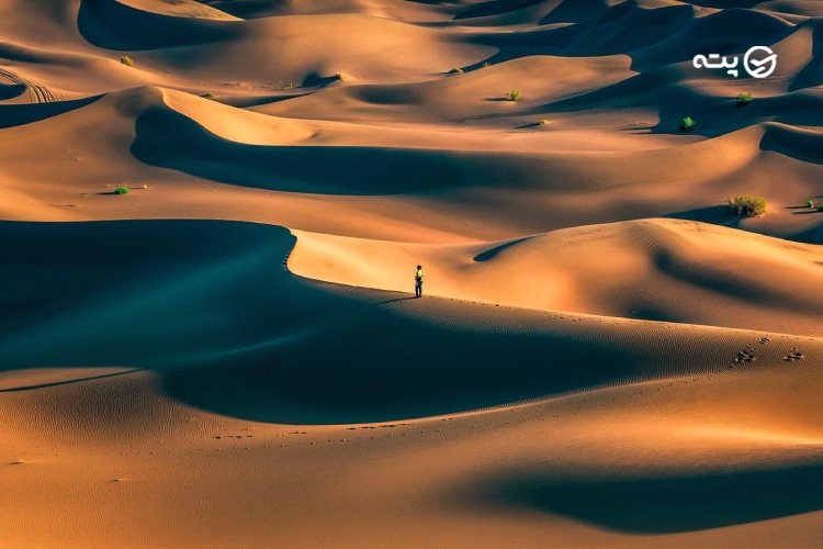 کویر کاراکال