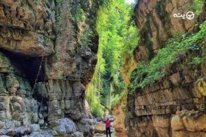 تنگه بهشت چالوس | تکه ای از بهشت در دل جنگل‌های مازندران