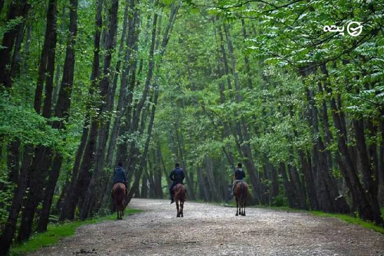 روستاهای دیدنی چالوس