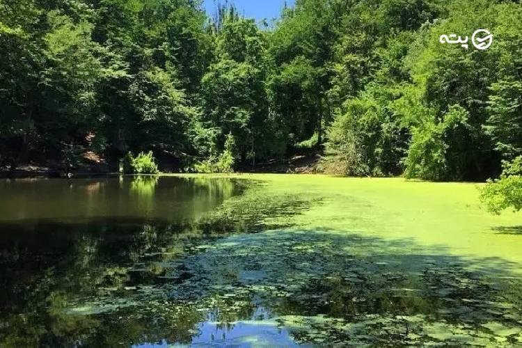 مرداب کندوچال