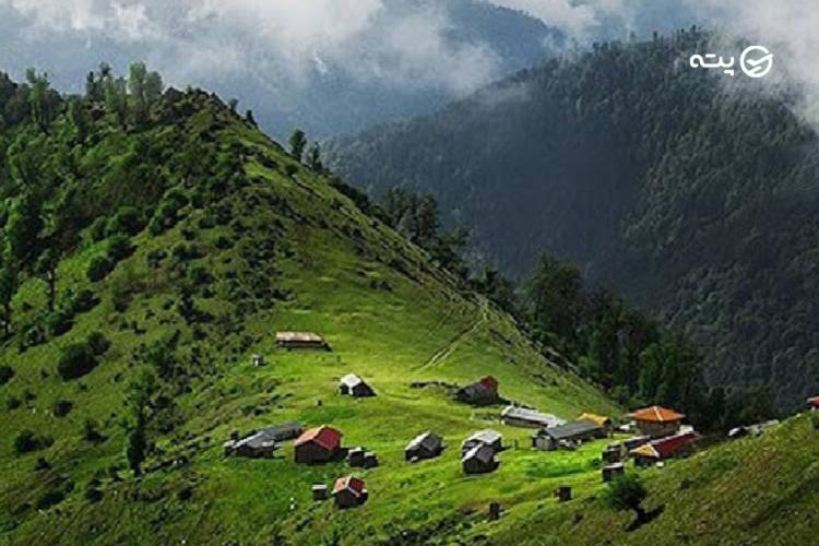 جنگل مازیچال