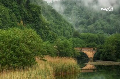 جنگل نقله بر کجاست؟ | عطر مه‌آلود جنگل‌های رودبار