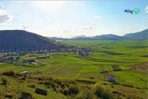 جاهای دیدنی کیاسر | زیباترین پارک جنگلی ایران برای تفریح و مسافرت