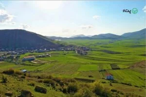 جاهای دیدنی کیاسر | زیباترین پارک جنگلی ایران برای تفریح و مسافرت