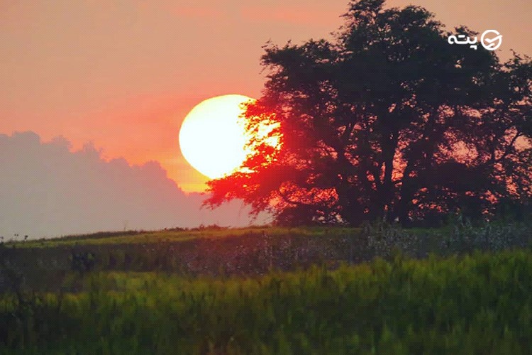 جاهای دیدنی کیاسر