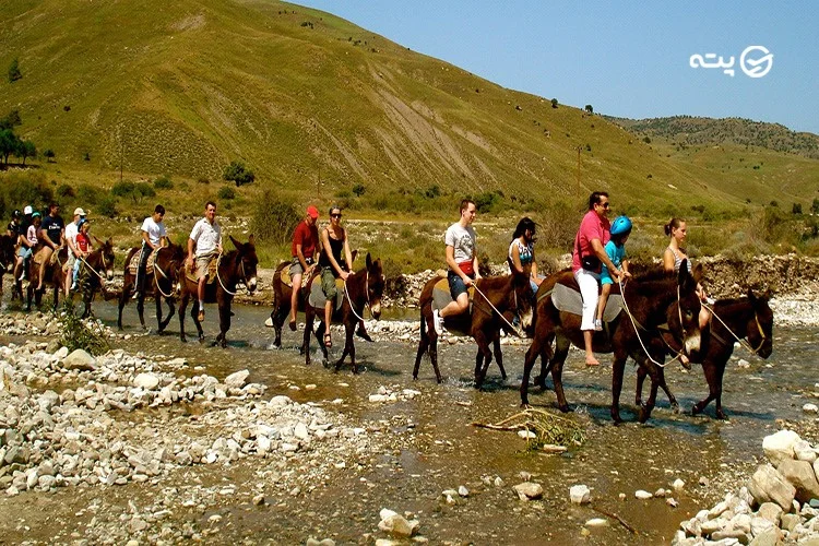 قبرس جنوبی
