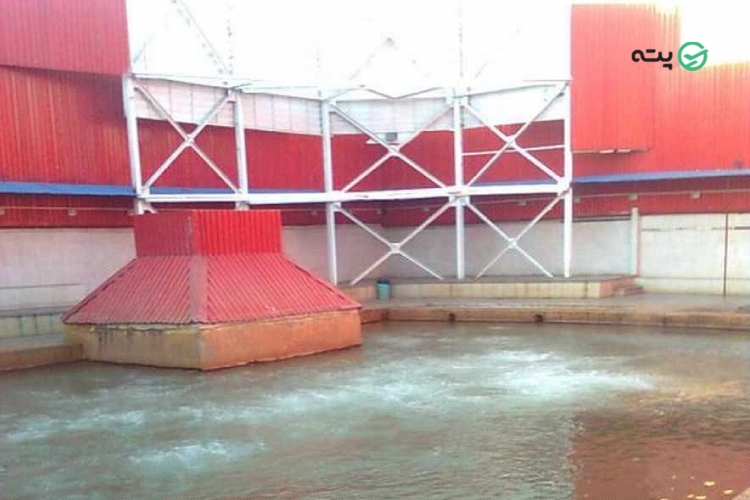 چشمه آبگرم گاومیش گلی