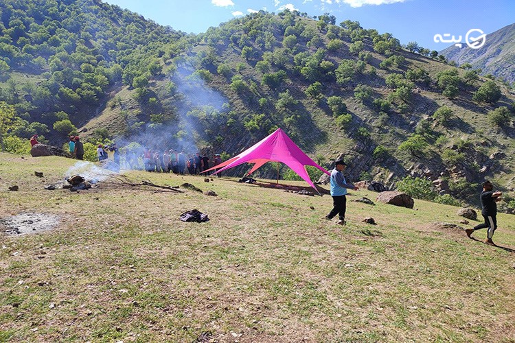 پیکنیک و کمپینگ