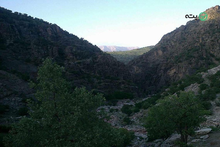 جاذبههای دیدنی اطراف آبشار برنجه شول آباد