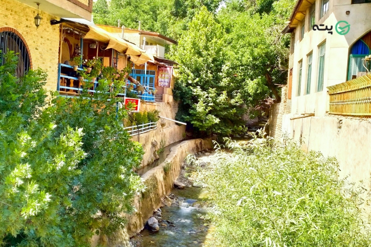 پیک نیک و عکاسی