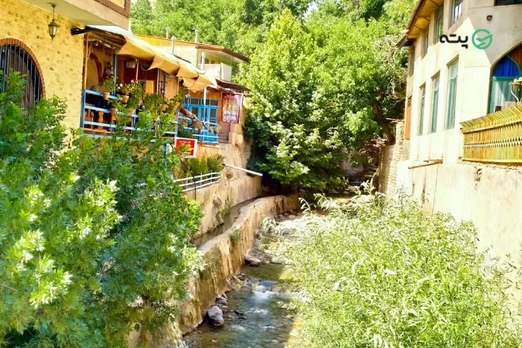 پیک نیک و عکاسی