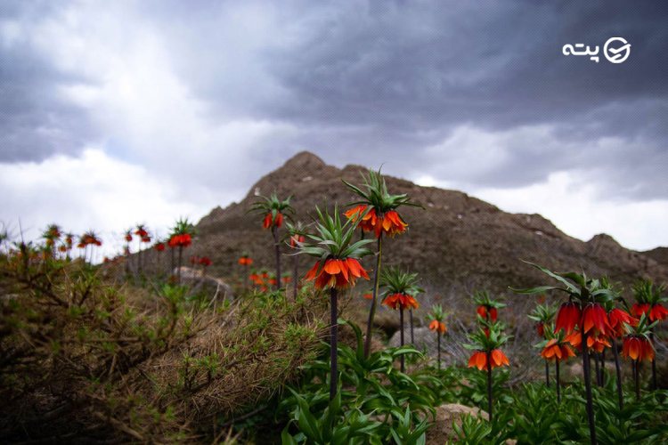 جاهای دیدنی خوانسار