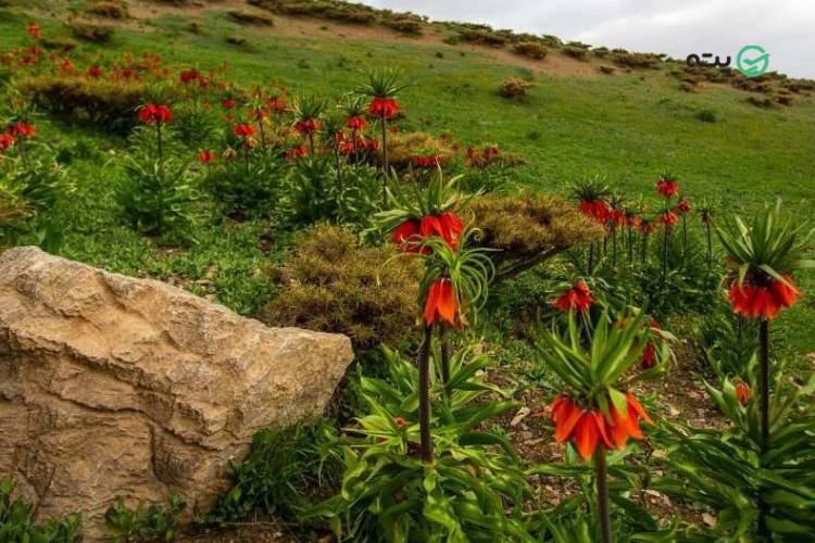 جاهای دیدنی خوانسار