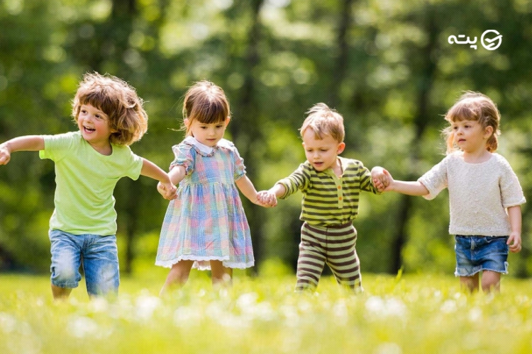 تجهیزات سفر برای بازدید از جنگل نقله بر