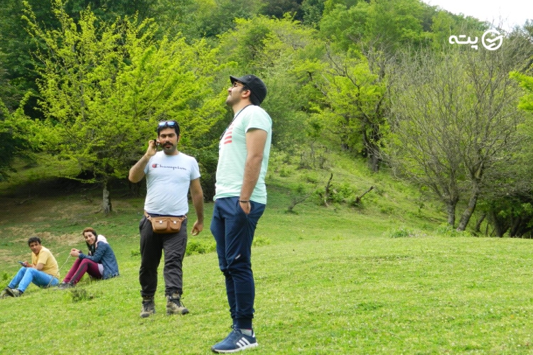 بهترین زمان بازدید از جنگل نقله بر