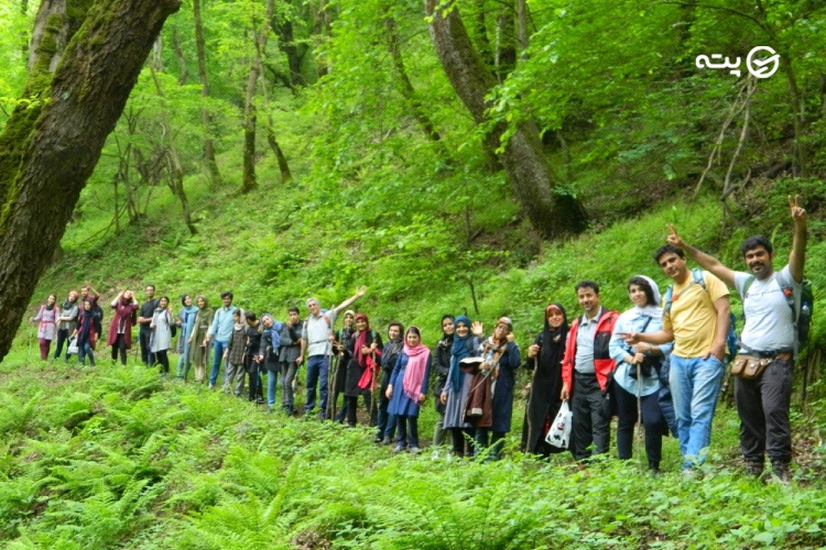 تفریحات جنگل نقله بر رودبار