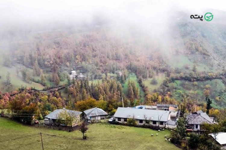 اقامت در بازدید از جنگل نقله بر