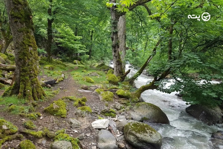 منطقه گالشکلام