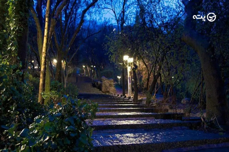 شبگردی در پارک