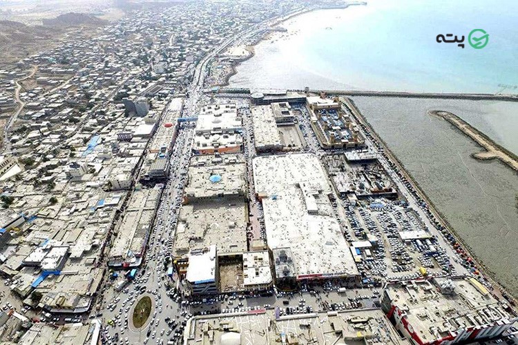 درخت لور قشم