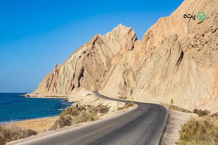 درخت لور قشم