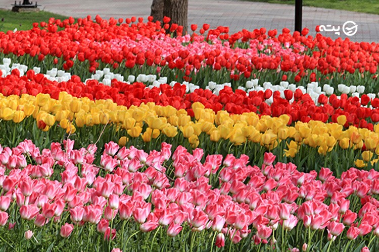 تفریحات قشم