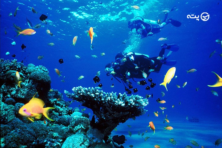 بهترین تفریحات قشم