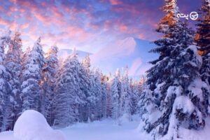 تعطیلات زمستان شمال کجا بریم؟ معرفی بهترین مقاصد برای سفر به شمال در زمستان