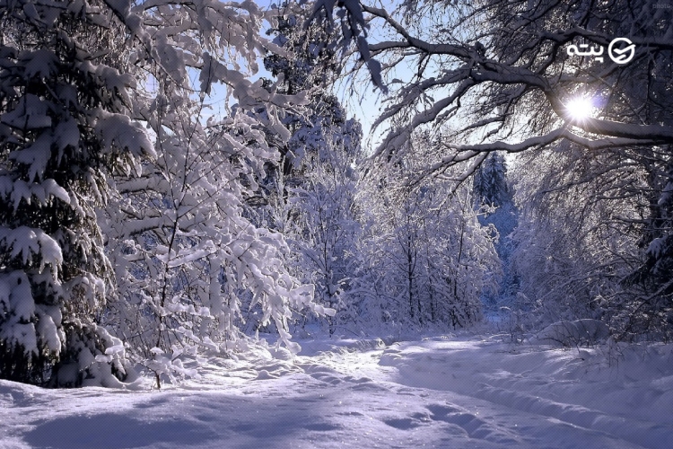 زمستان شمال کجا بریم؟
