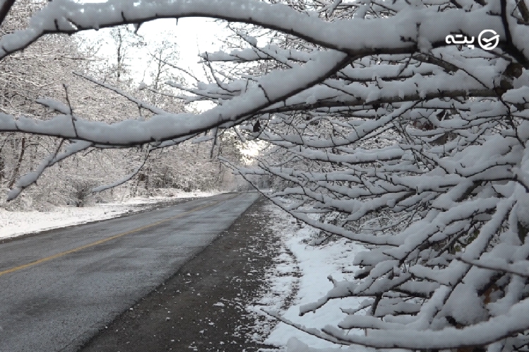 طبیعت شمال در زمستان