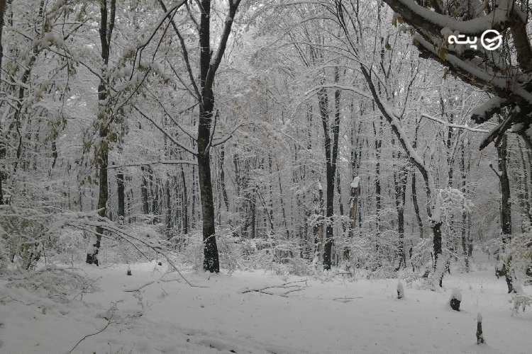 طبیعت شمال در زمستان