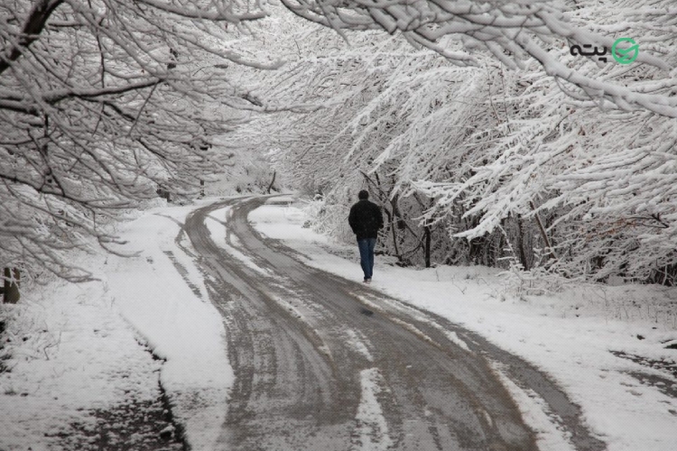 طبیعت شمال در زمستان