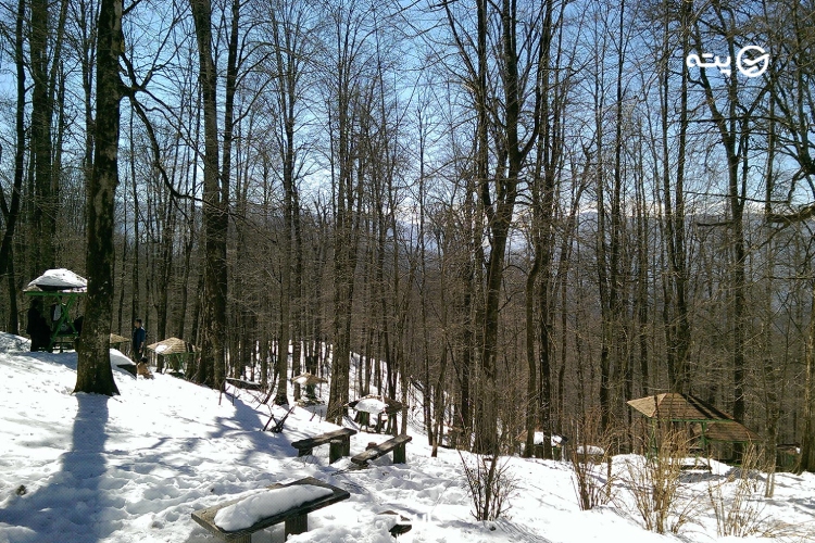 سفر به شمال در زمستان