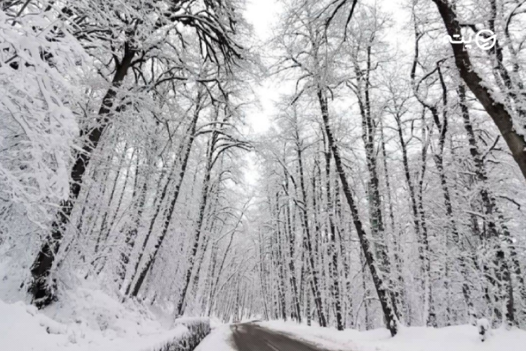 سفر به شمال در زمستان