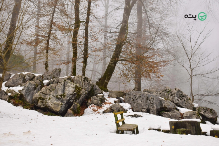 سفر به شمال در زمستان