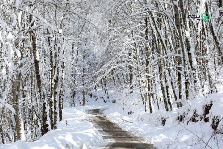 سفر به شمال در زمستان
